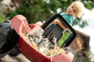 Kinder fasziniert das Leben am Bauernhof
