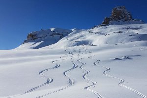 Wildbeobachtung beim Schneeschuhwandern am Ritten / Südtirol