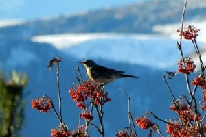 Heiße Tassen zur kalten Jahreszeit - Wintergenuss in Südtirol