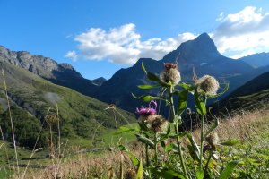 Nachhaltigkeit am Bauernhof